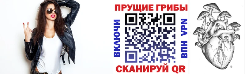 Псилоцибиновые грибы ЛСД  наркошоп  Оренбург 